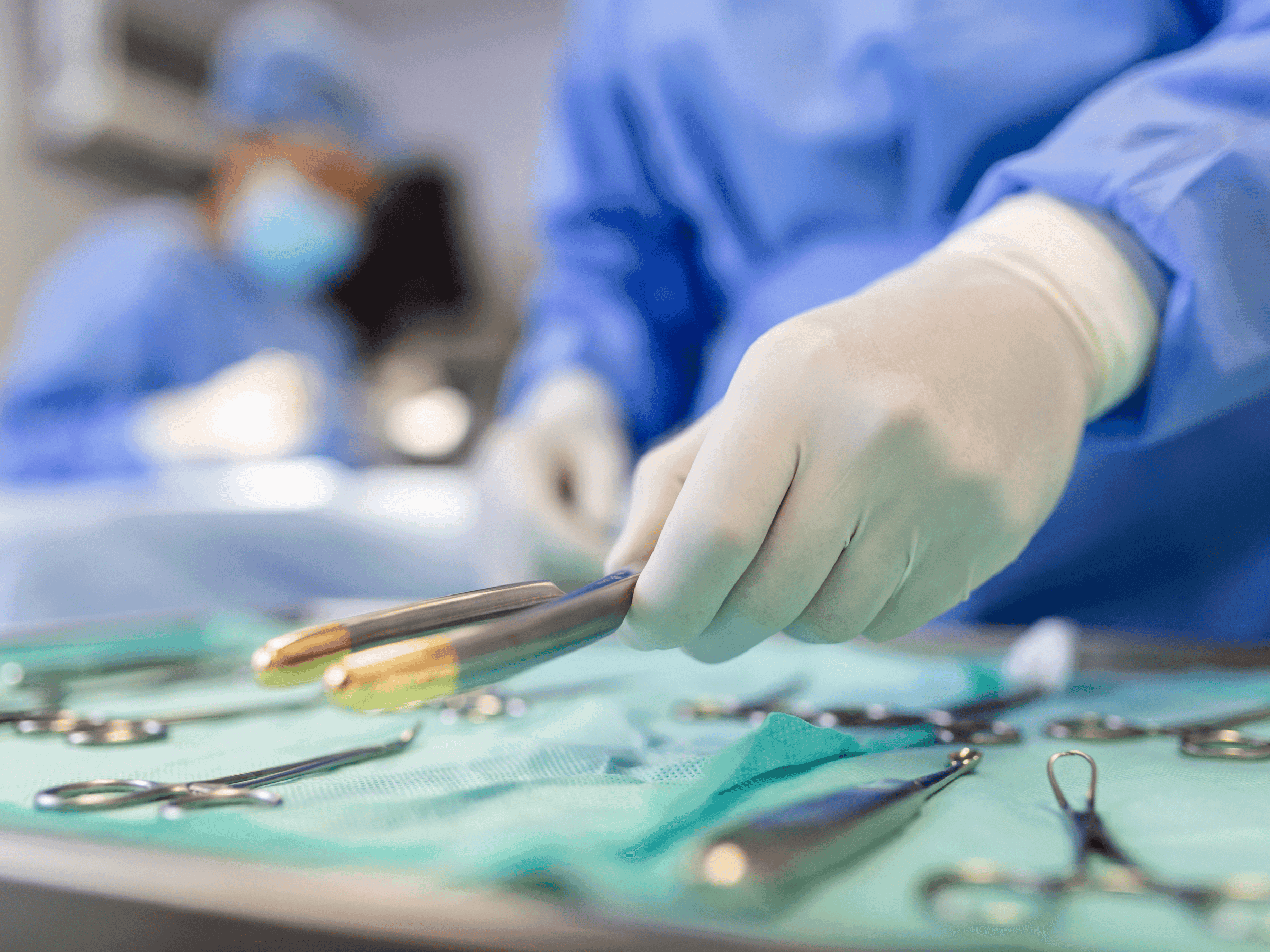 Chirurgia i ortopedia | KruVet - Przychodnia weterynaryjna Piaseczno